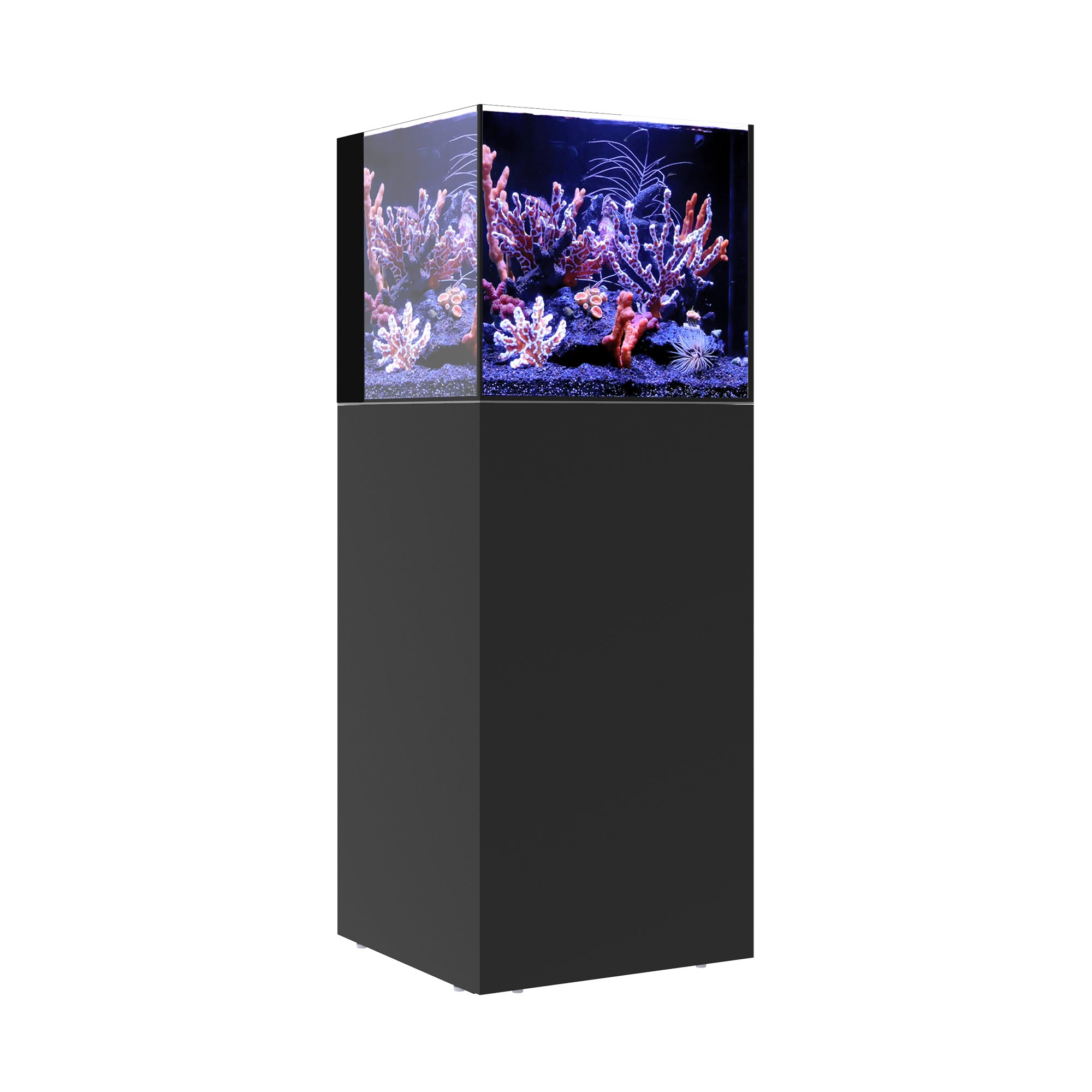 AIO 20 CUBE