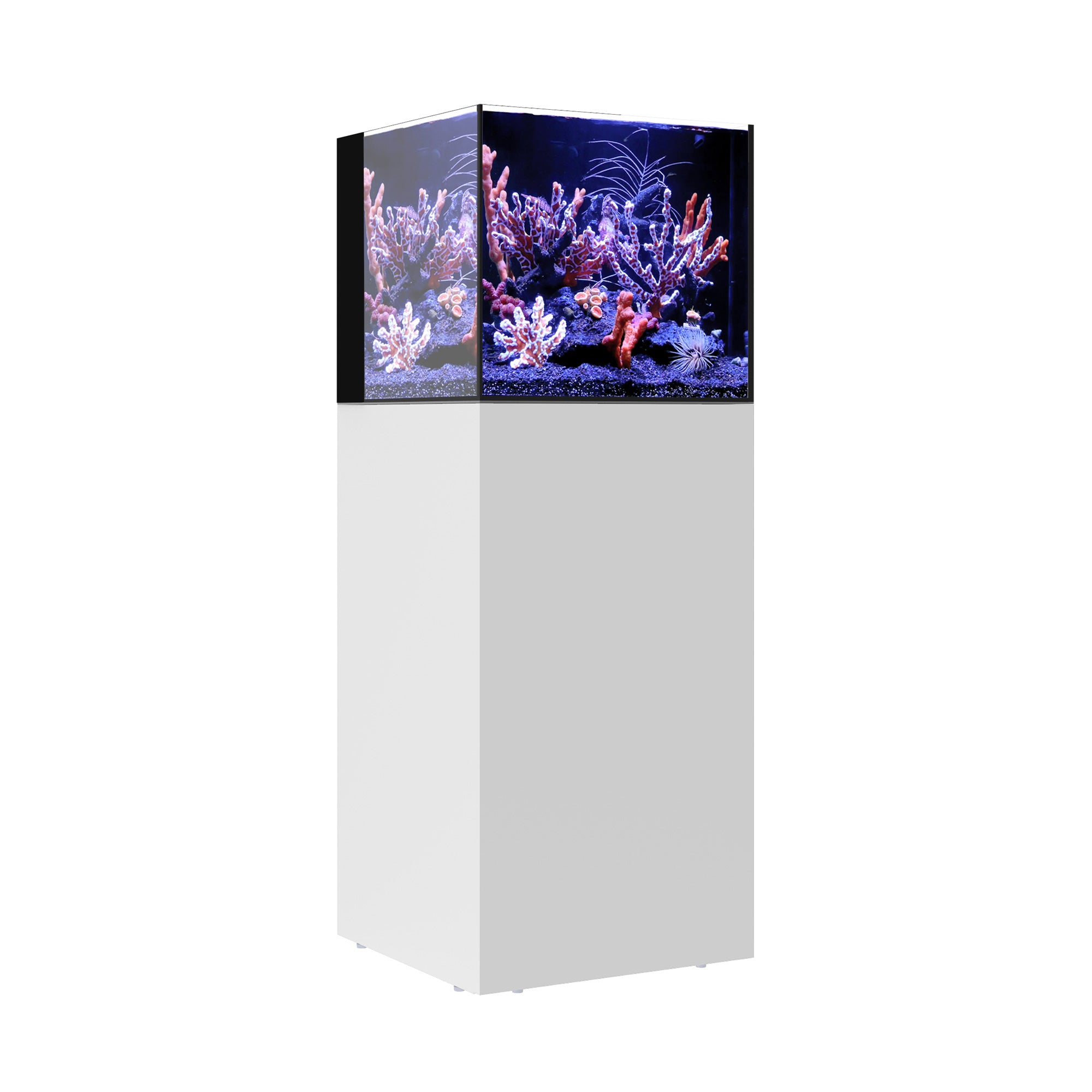 AIO 20 CUBE