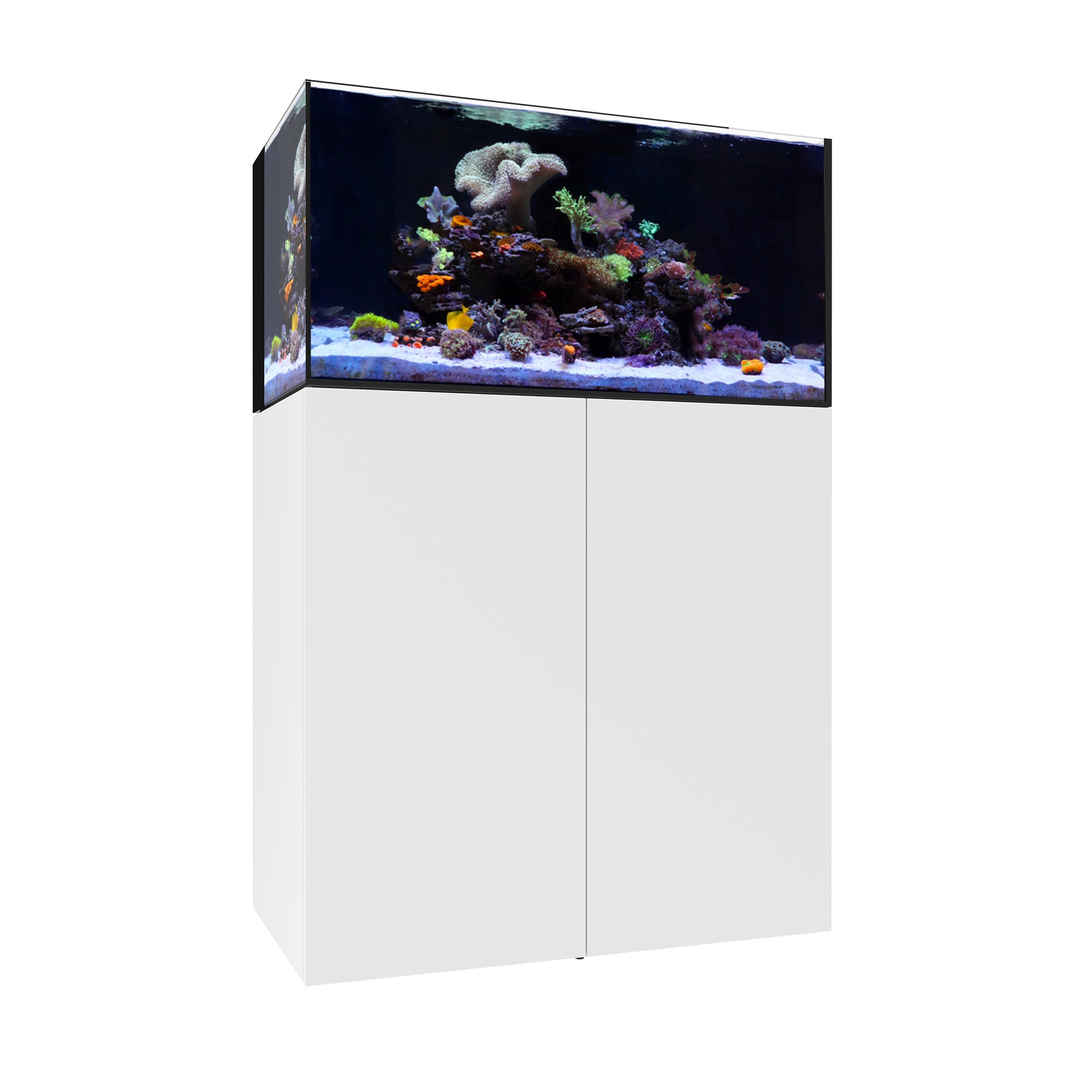 AIO 50.3
