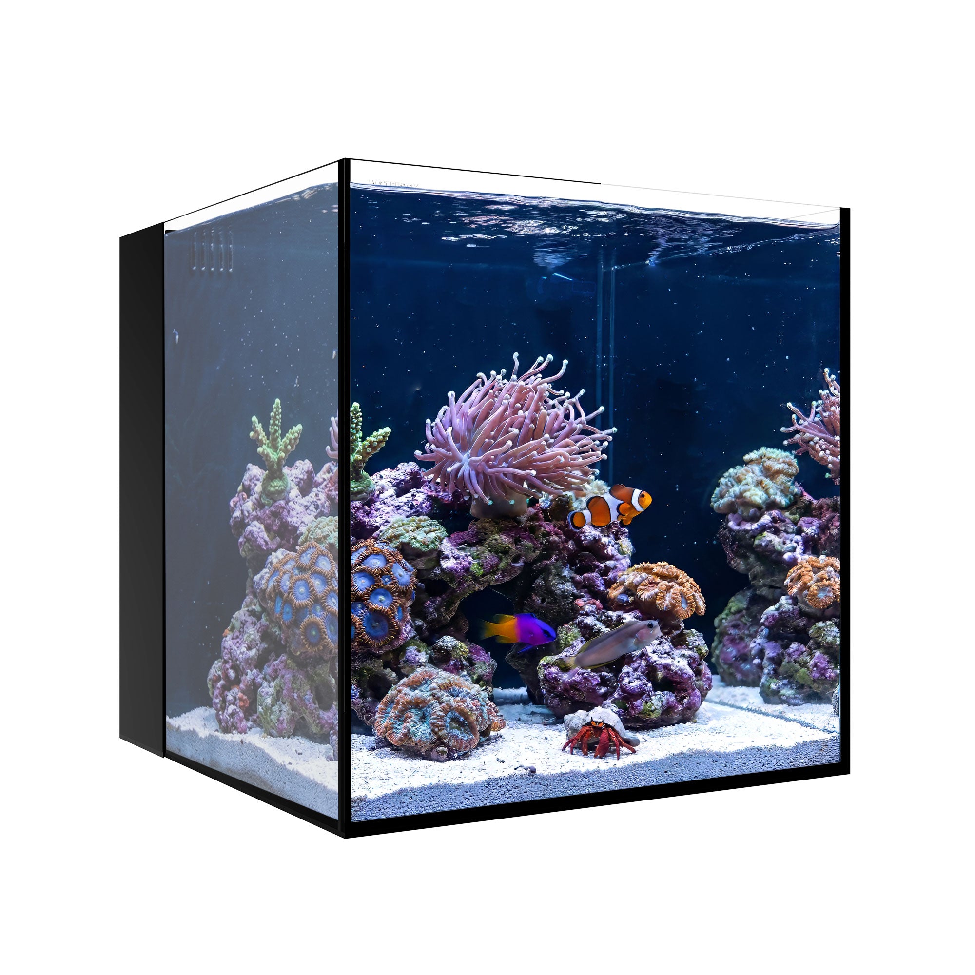 AIO 10 CUBE
