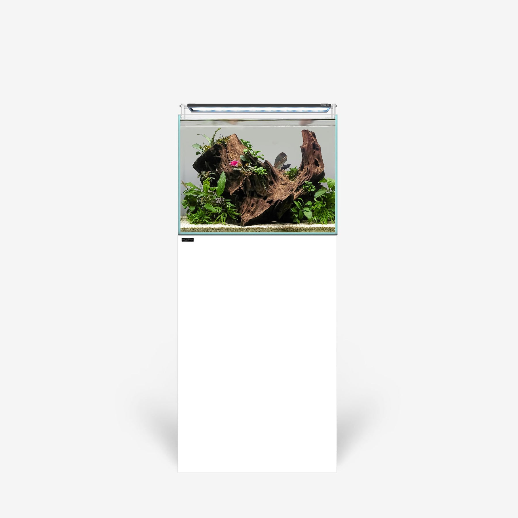 CLEAR 2420 PLUS Edition