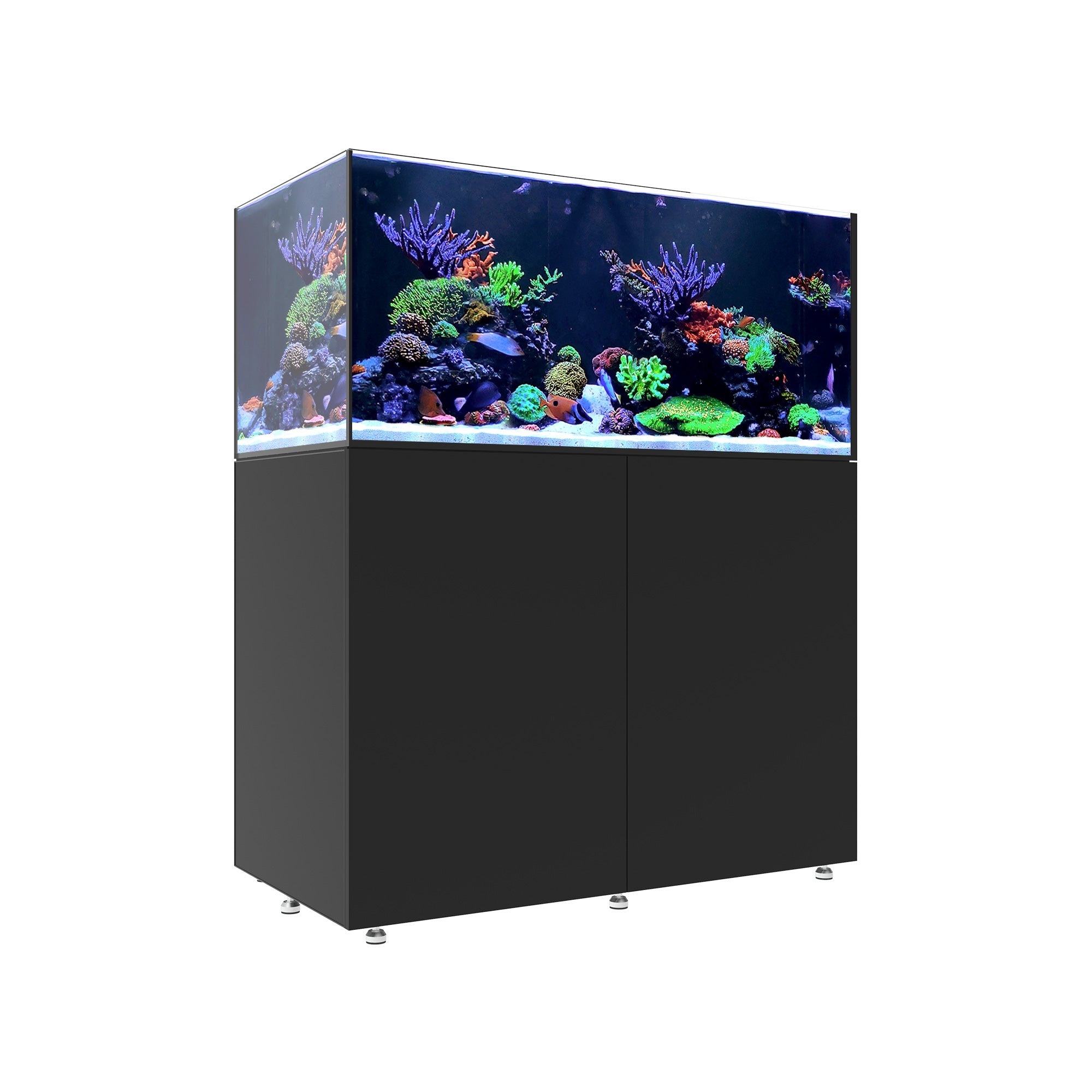 INFINIA Reef 150.4