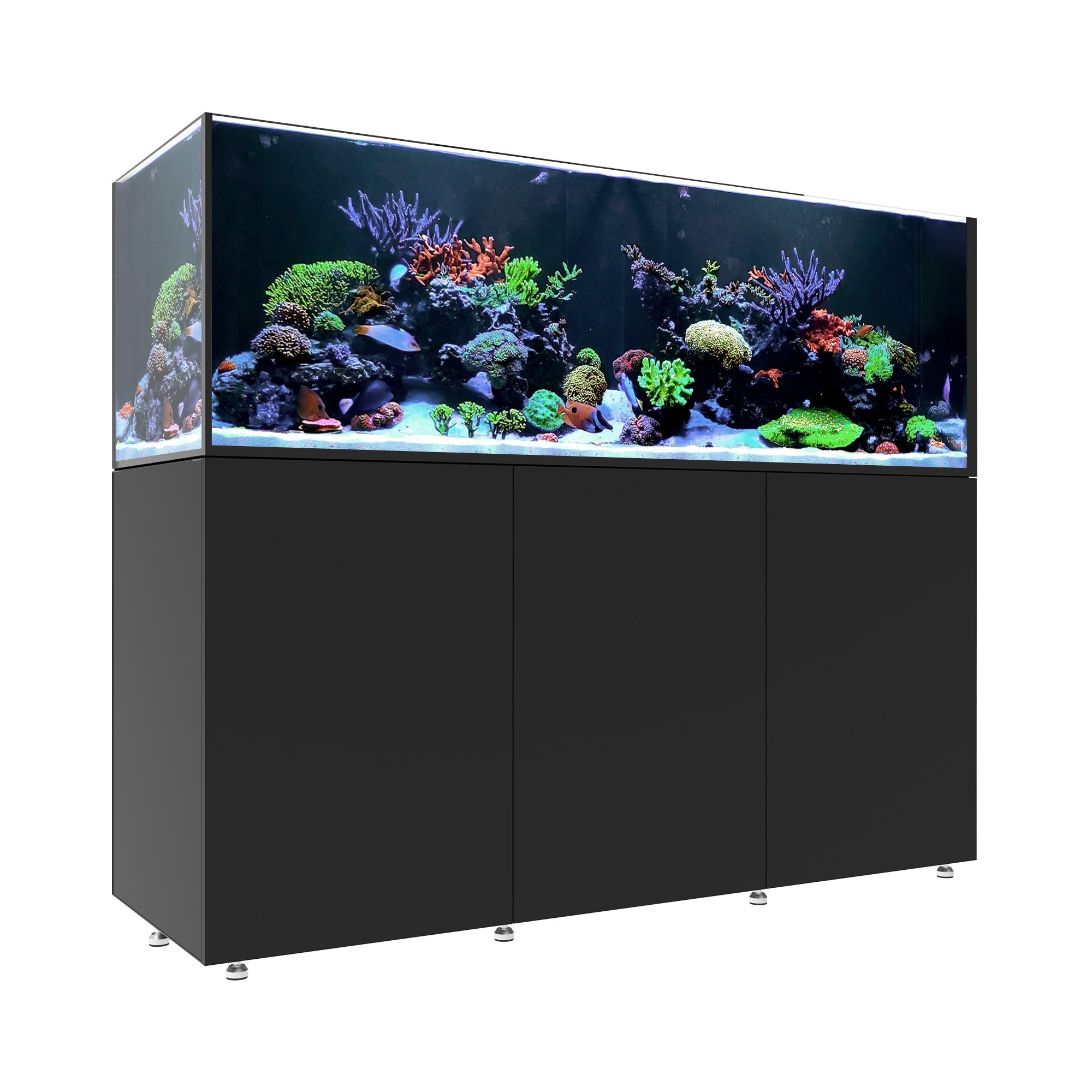 INFINIA Reef 230.6
