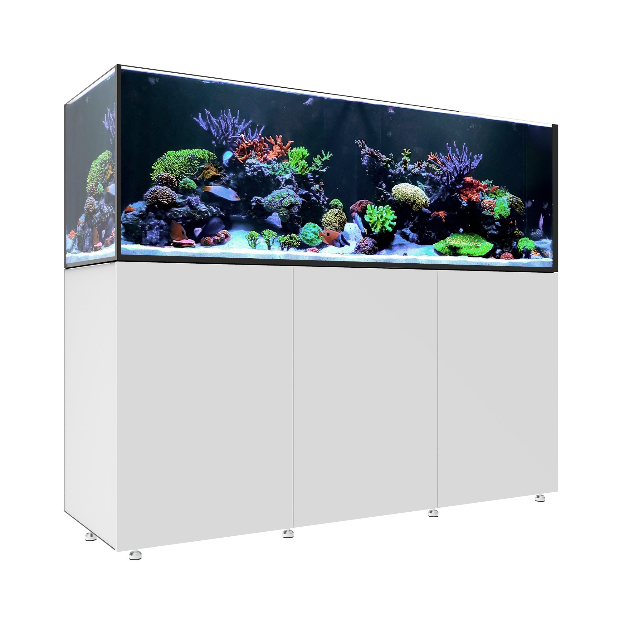 INFINIA Reef 230.6 – Waterbox Aquariums Canada