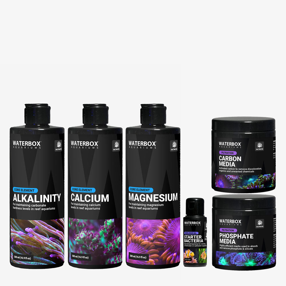 View of Saltwater Starter Pack