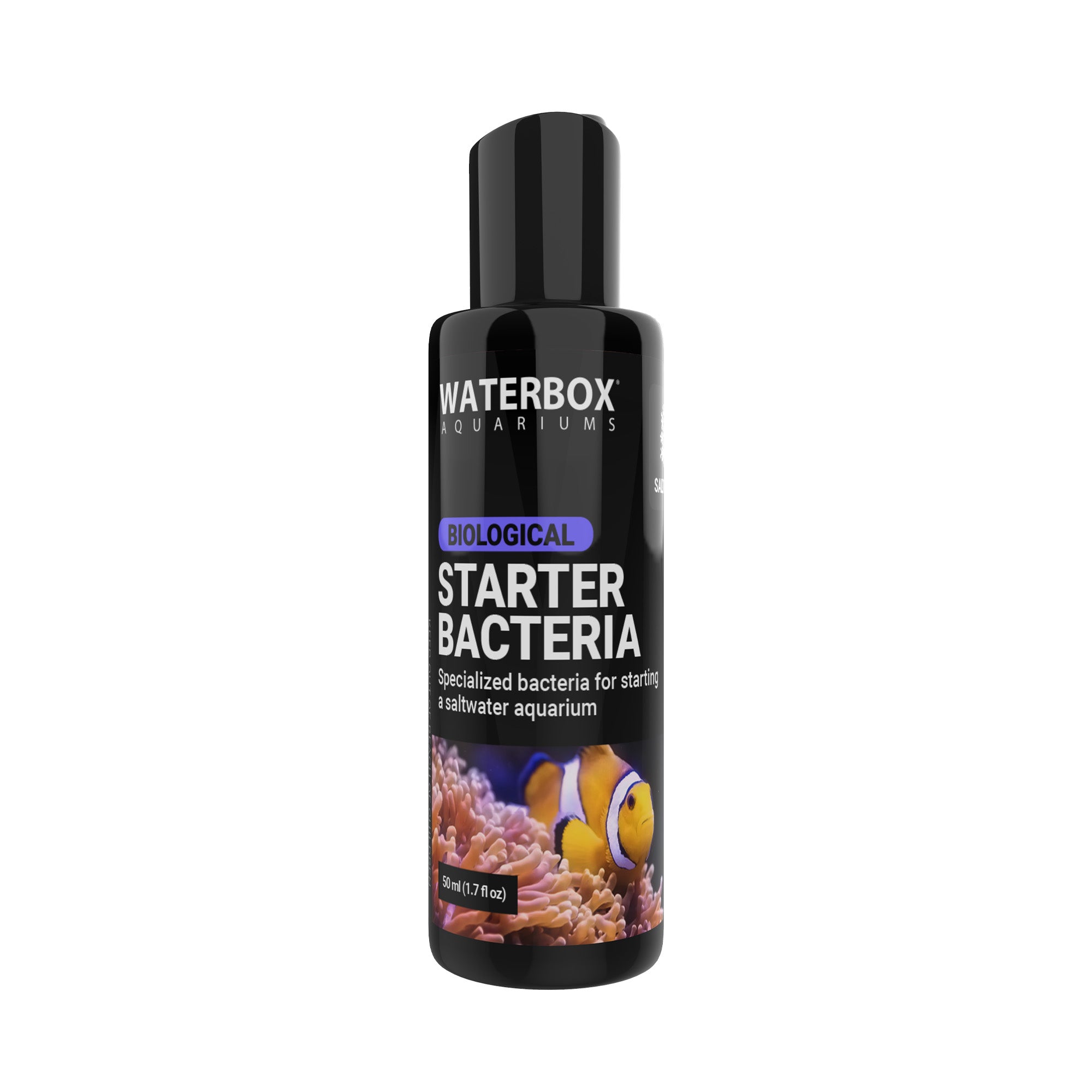 STARTER BACTERIA