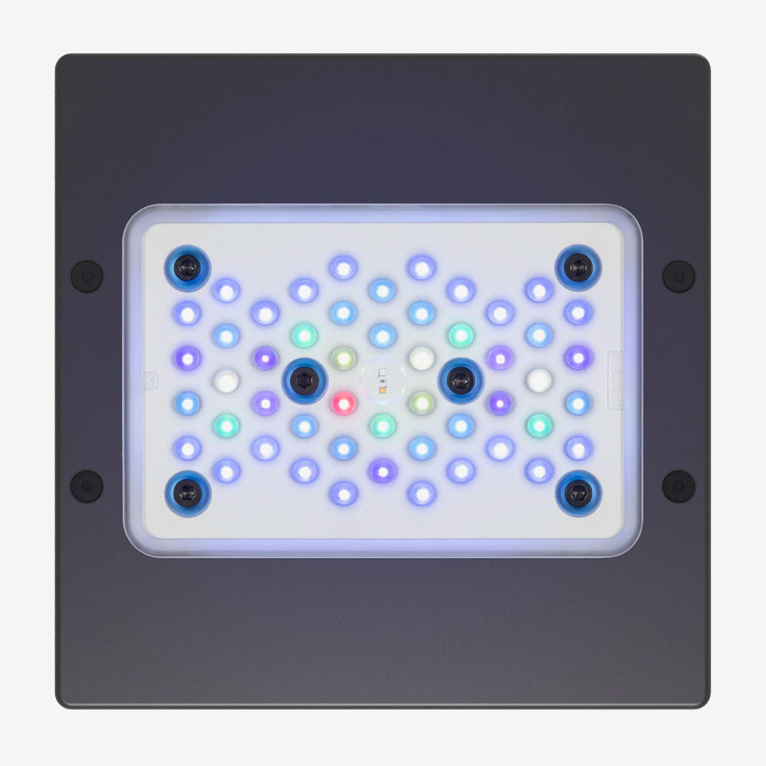 PLUS XR15 G6 SALTWATER