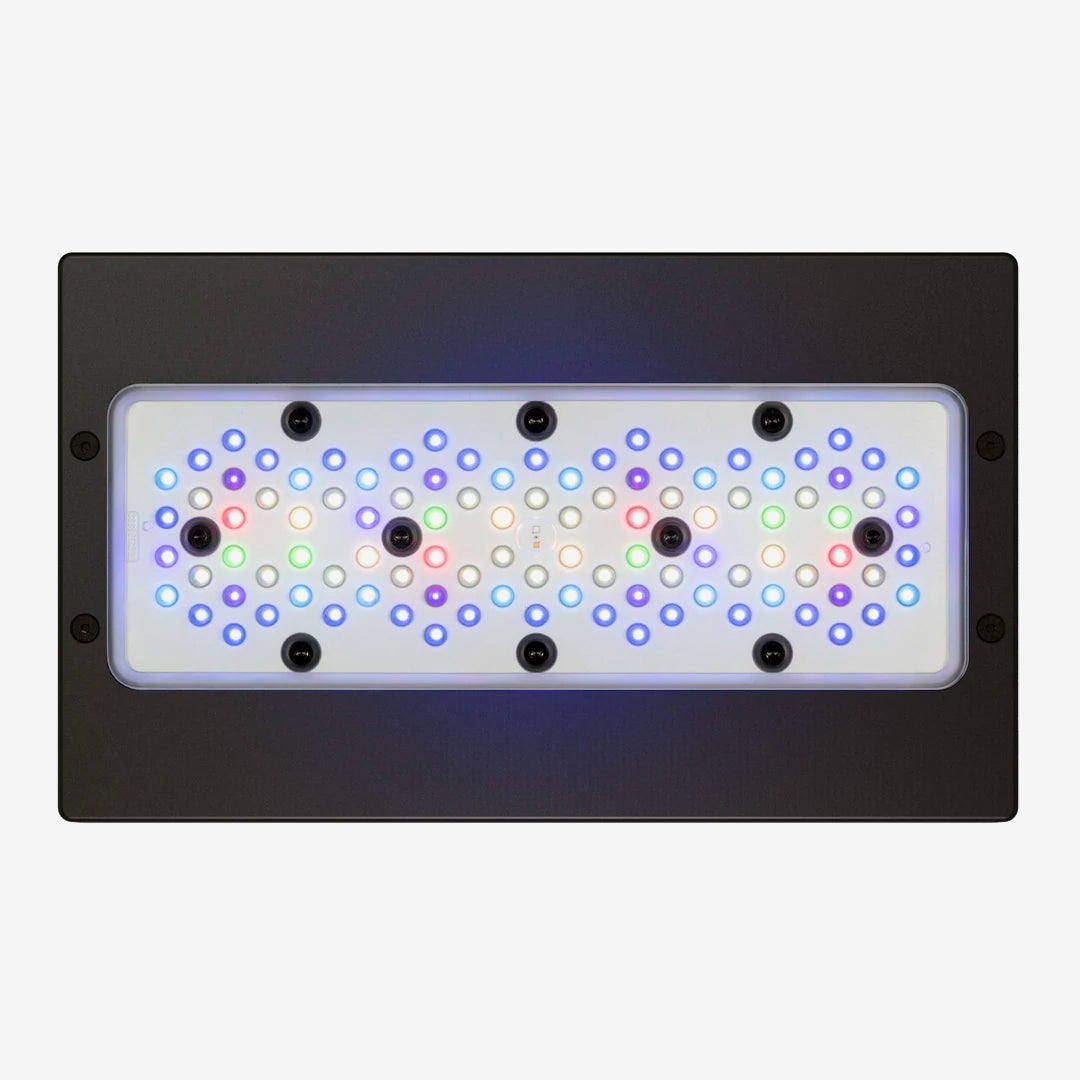 PLUS XR30 G6 SALTWATER