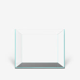 CLEAR MINI 6