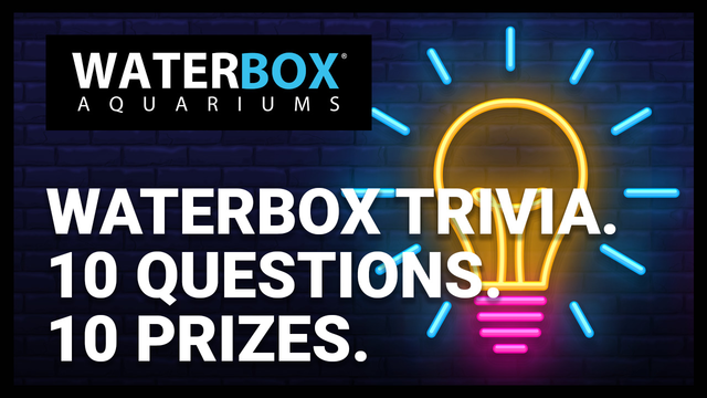 Waterbox Trivia: 10 Questions. 10 Prizes
