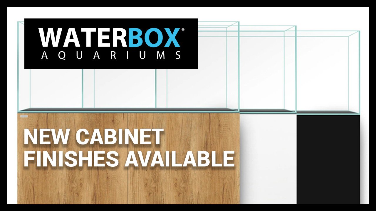 New Cabinet Finishes Available for Cube, Marine AIO, Marine and Clear Aquariums