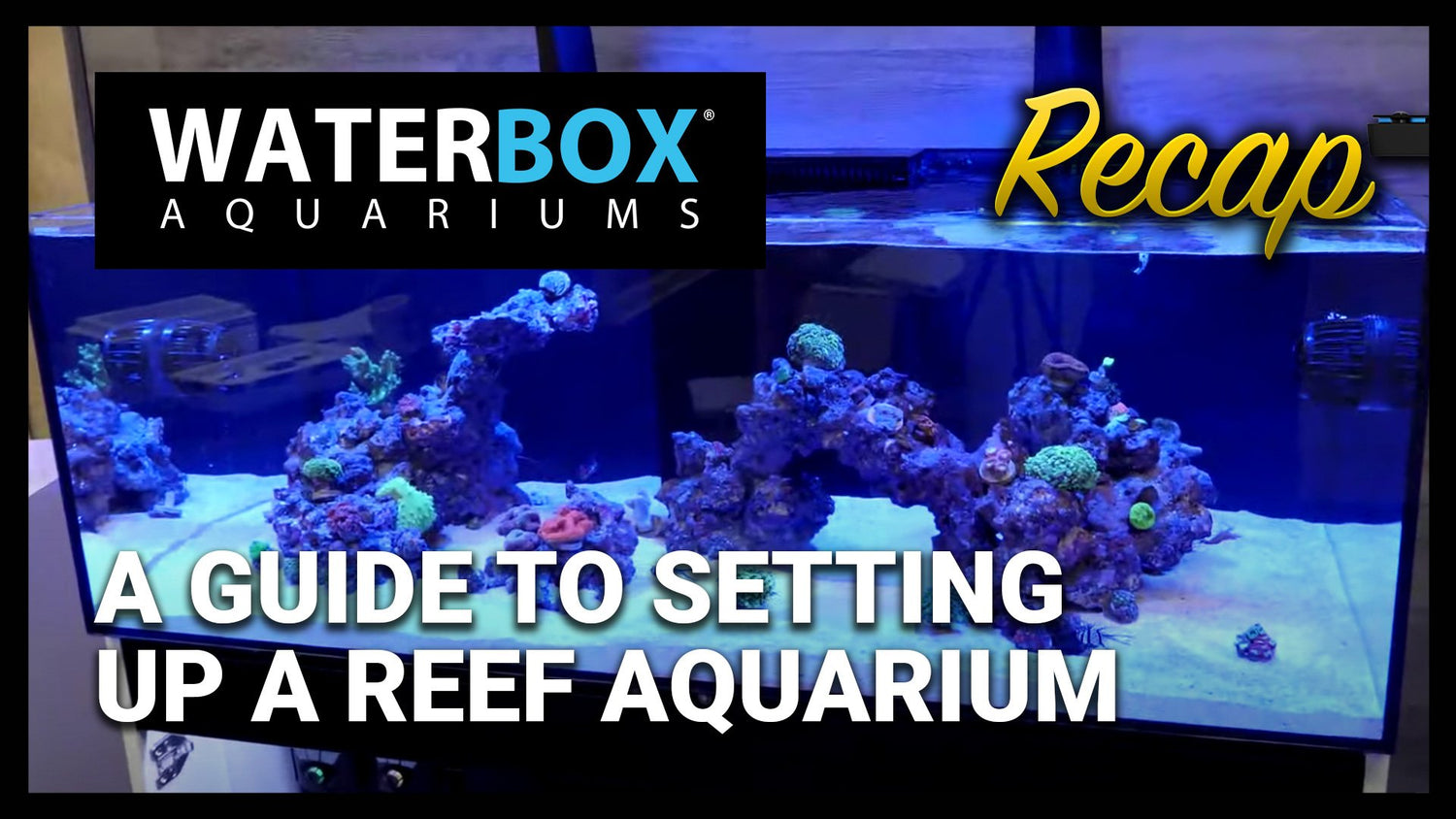 A Guide to Setting Up a Reef Aquarium: Recap