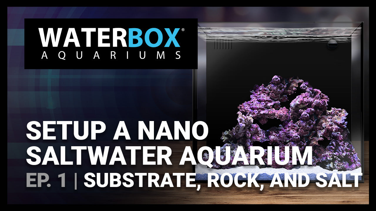Guide to Setting up a Saltwater Nano Aquarium - #1 - Substrate, Rock, and Salt.