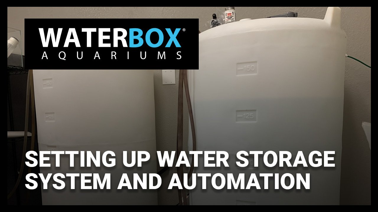 Water Storage System and Automation