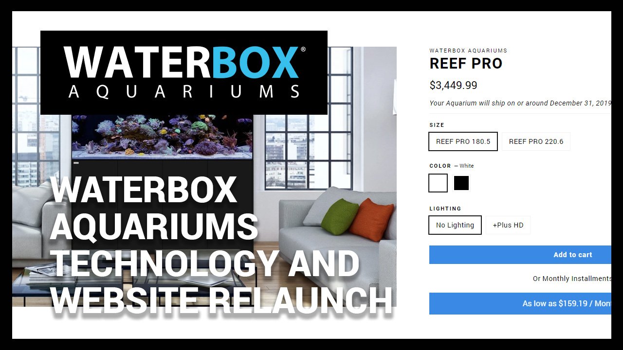 Waterbox Aquariums Technology and  Website Relaunch