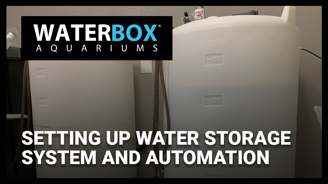 Setting up Water Storage System and Automation