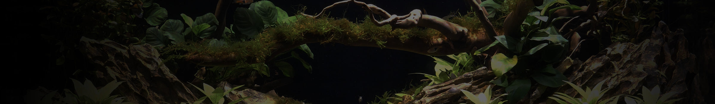 Freshwater Chemistry – Waterbox Aquariums Canada
