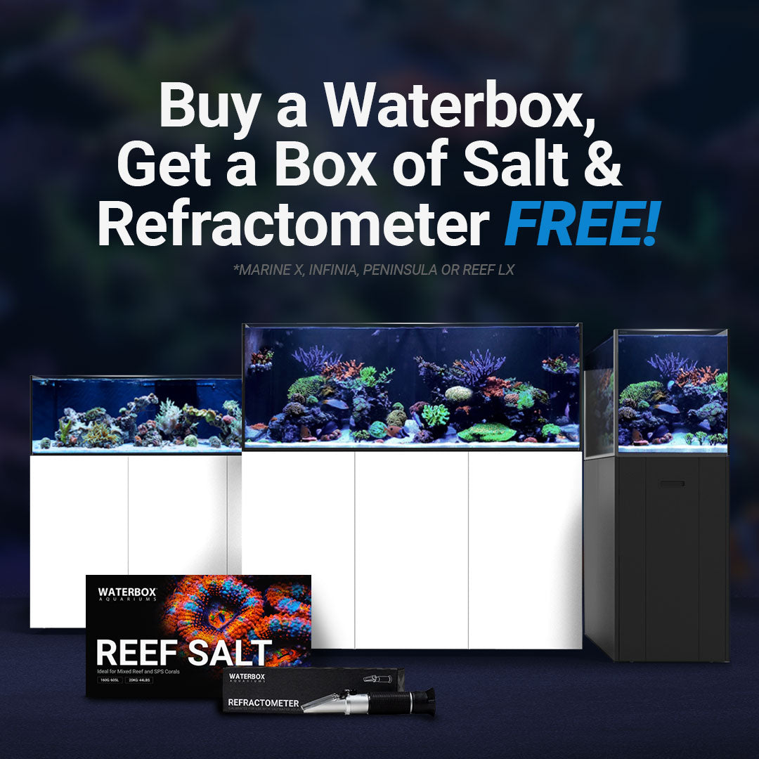 Saltwater sales aquarium salt