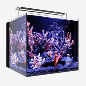 AIO 20 CUBE PLUS Edition