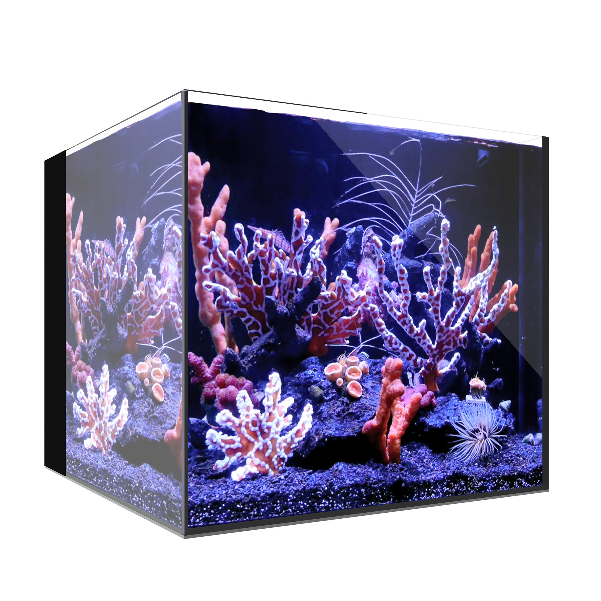 AIO 20 CUBE