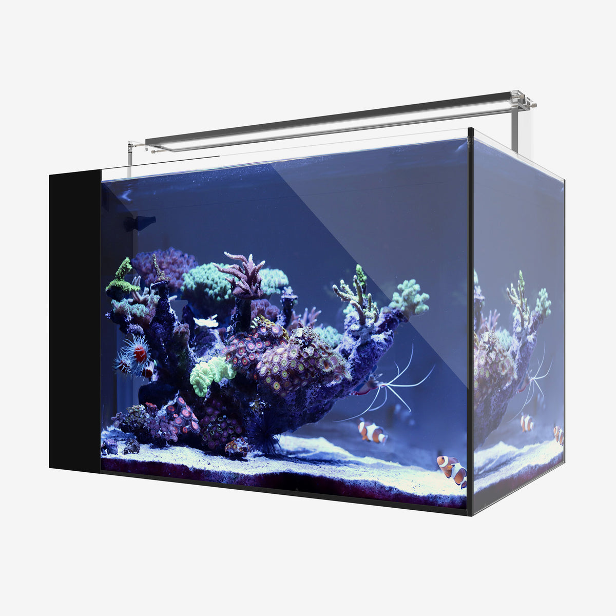 AIO 25 PENINSULA PLUS Edition