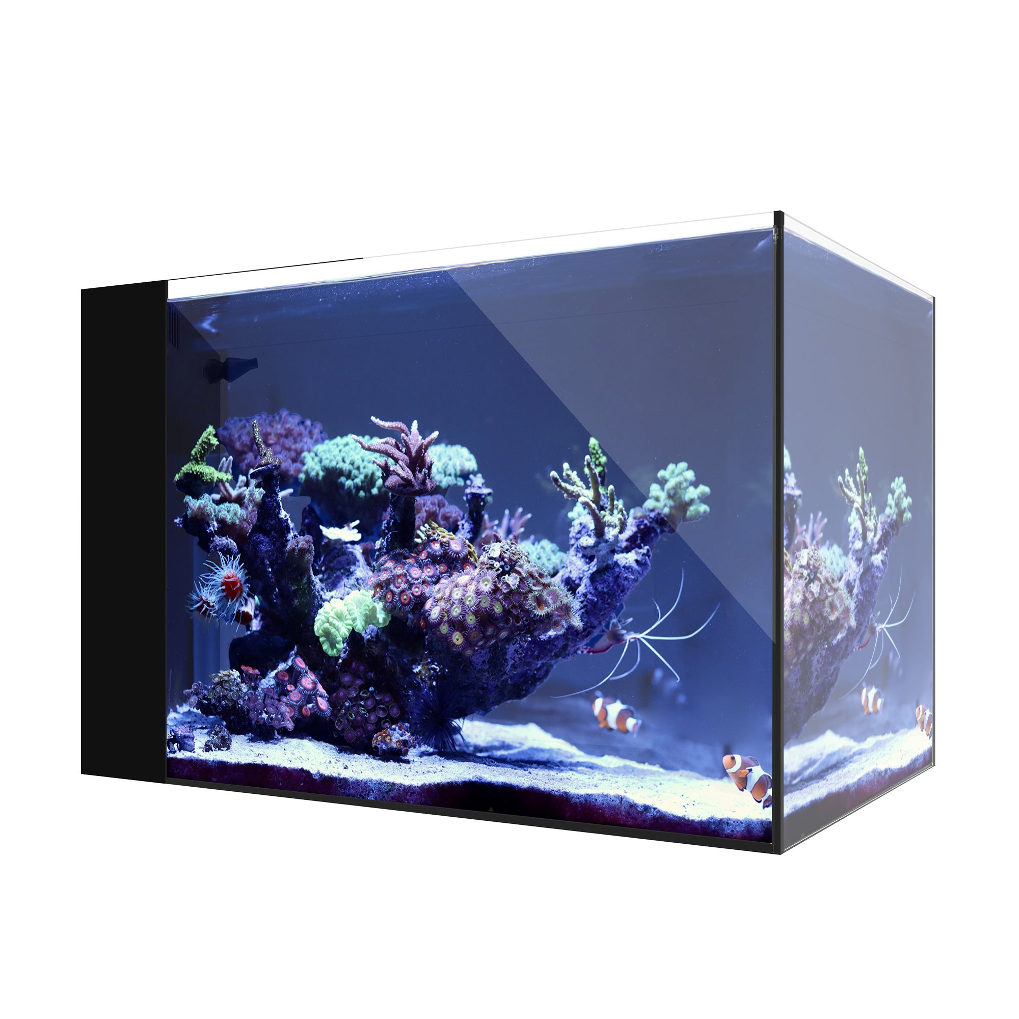 AIO 25 PENINSULA