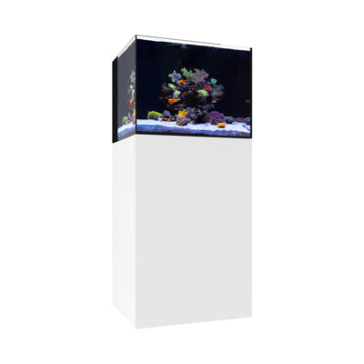 AIO 35.2