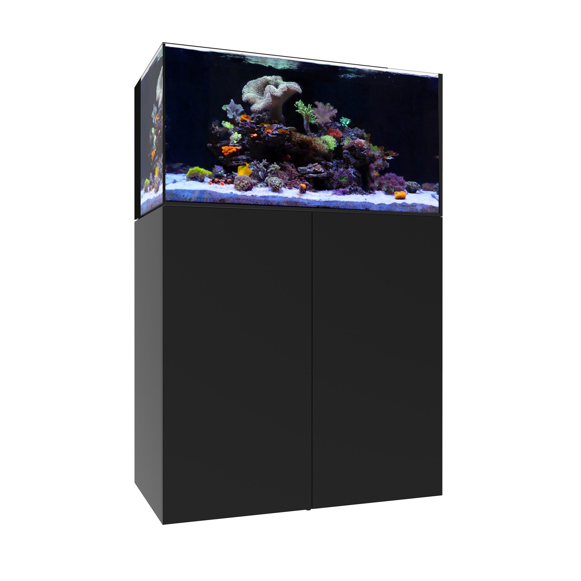 AIO 50.3