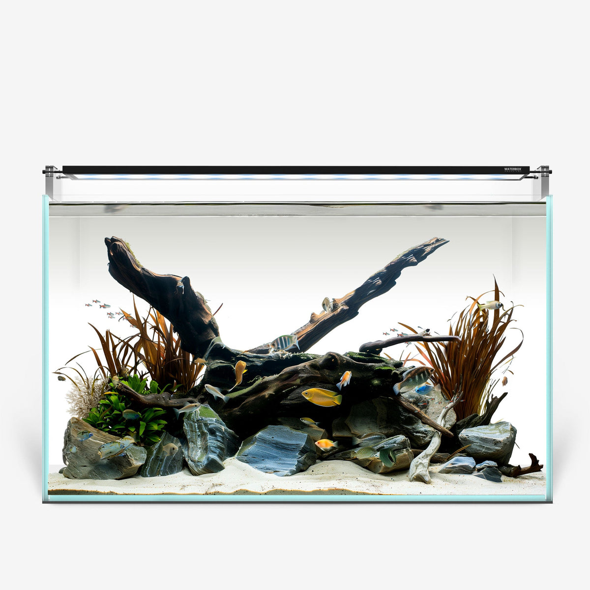 Mini complete tank aquarium hotsell