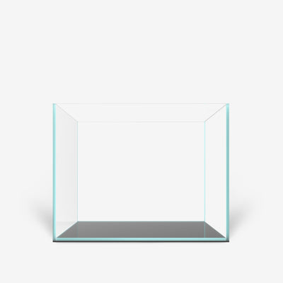 CLEAR MINI 6 PLUS Edition