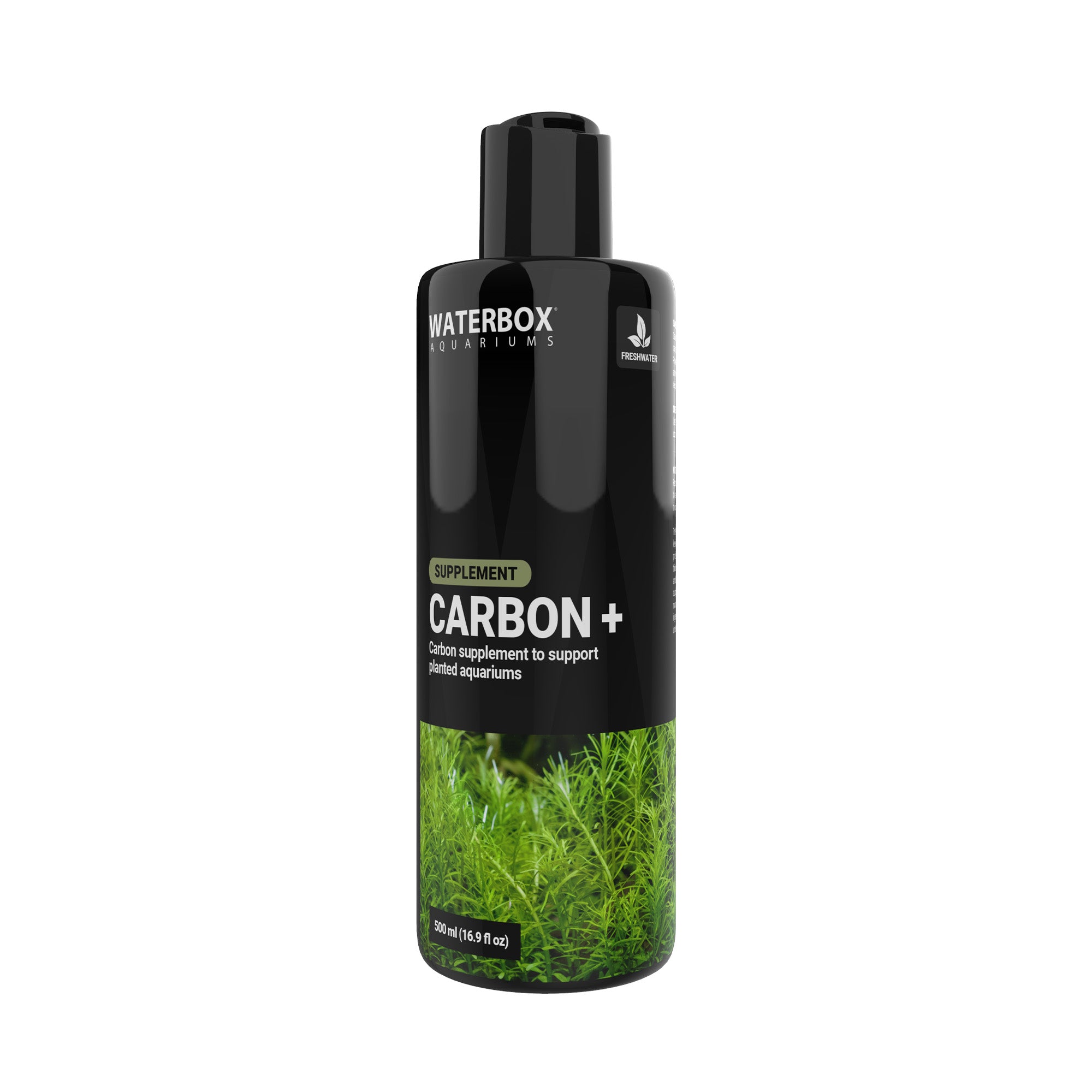 CARBON +