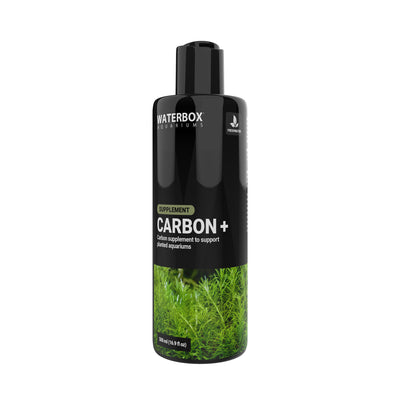 CARBON +