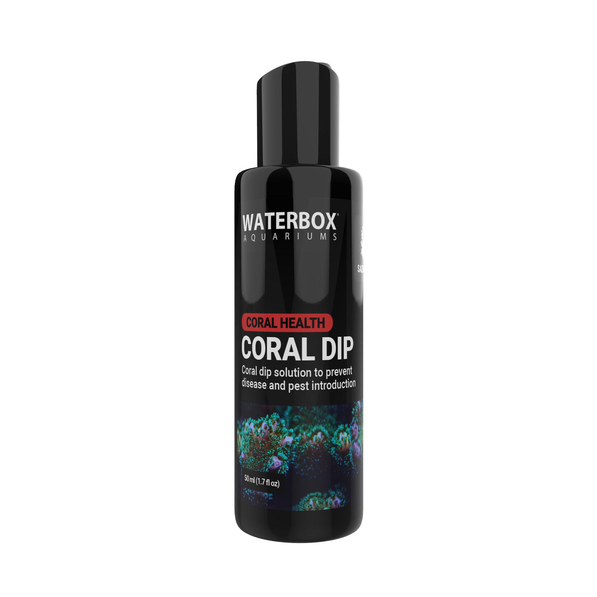 CORAL DIP