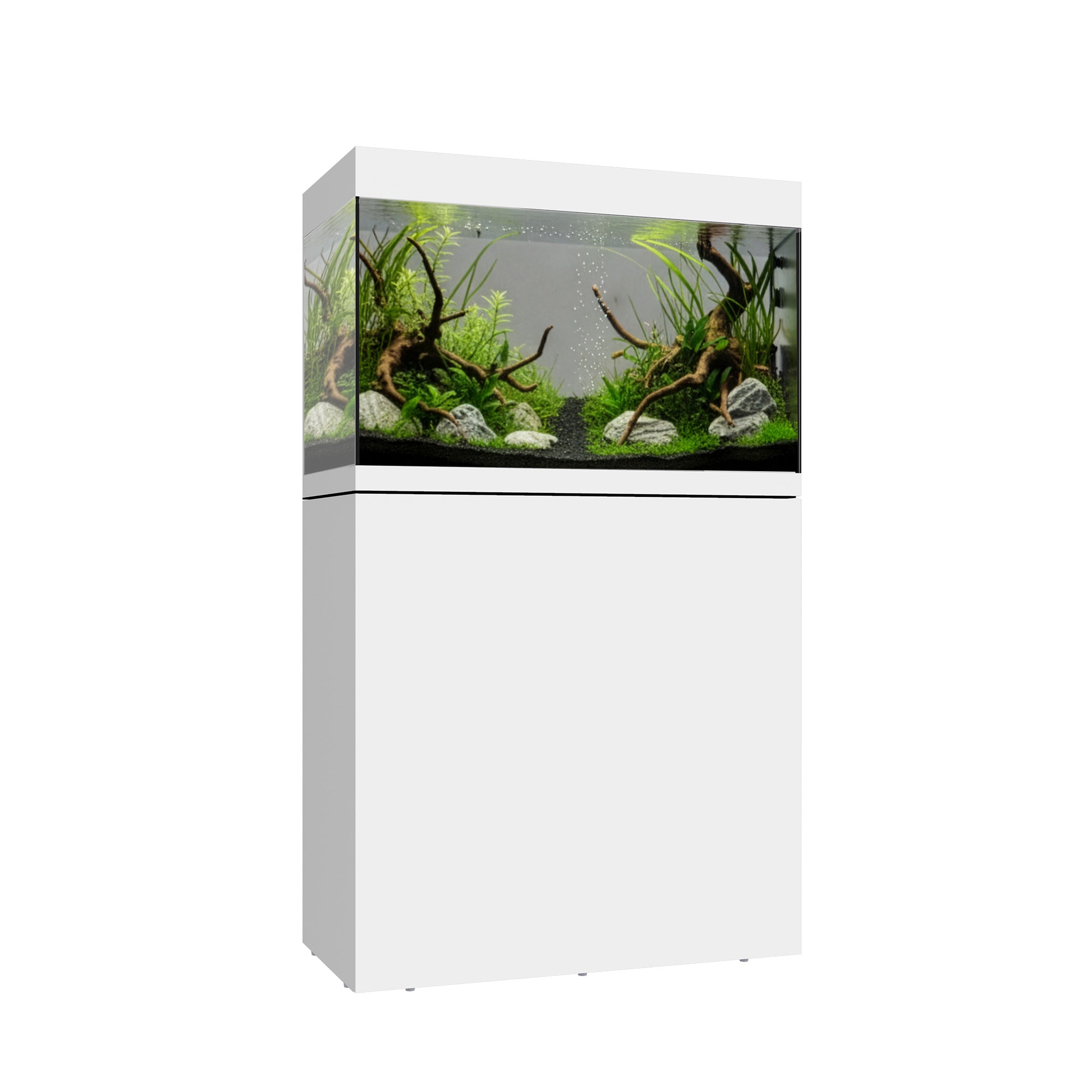 Freshwater Aquariums – Waterbox Aquariums Canada