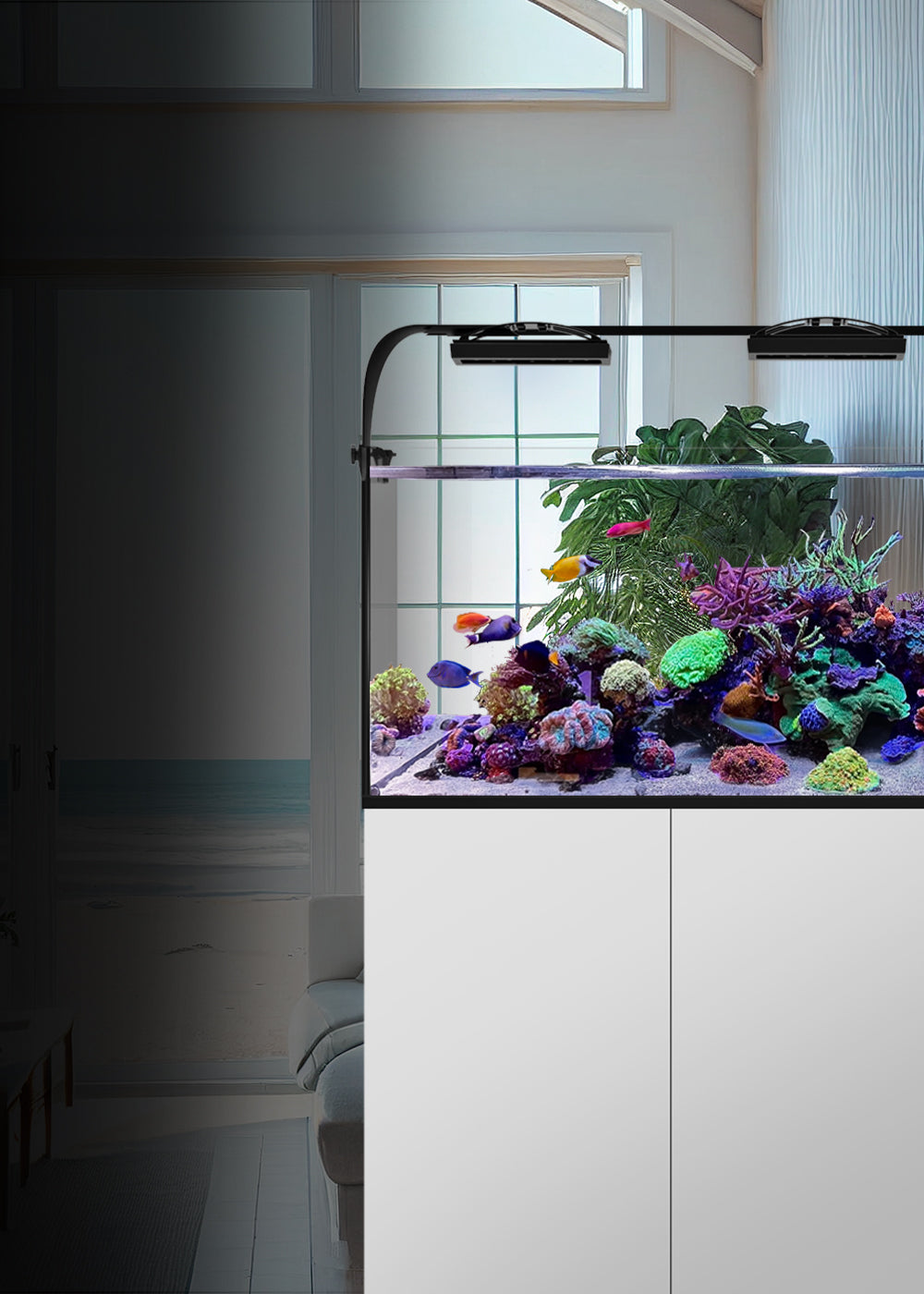 Waterbox Aquariums - Freshwater and Saltwater Aquarium Systems