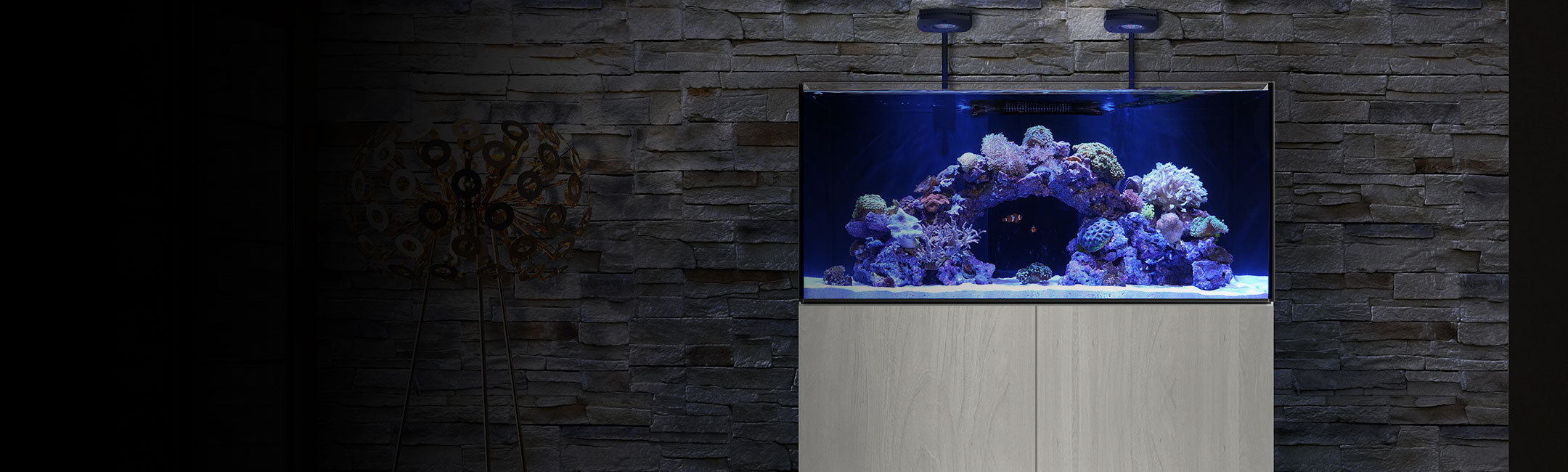 Waterbox Aquariums - Freshwater And Saltwater Aquarium Systems