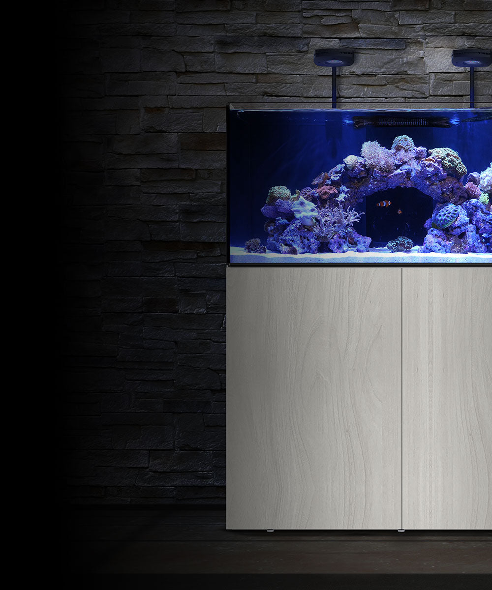 Waterbox Aquariums - Freshwater and Saltwater Aquarium Systems