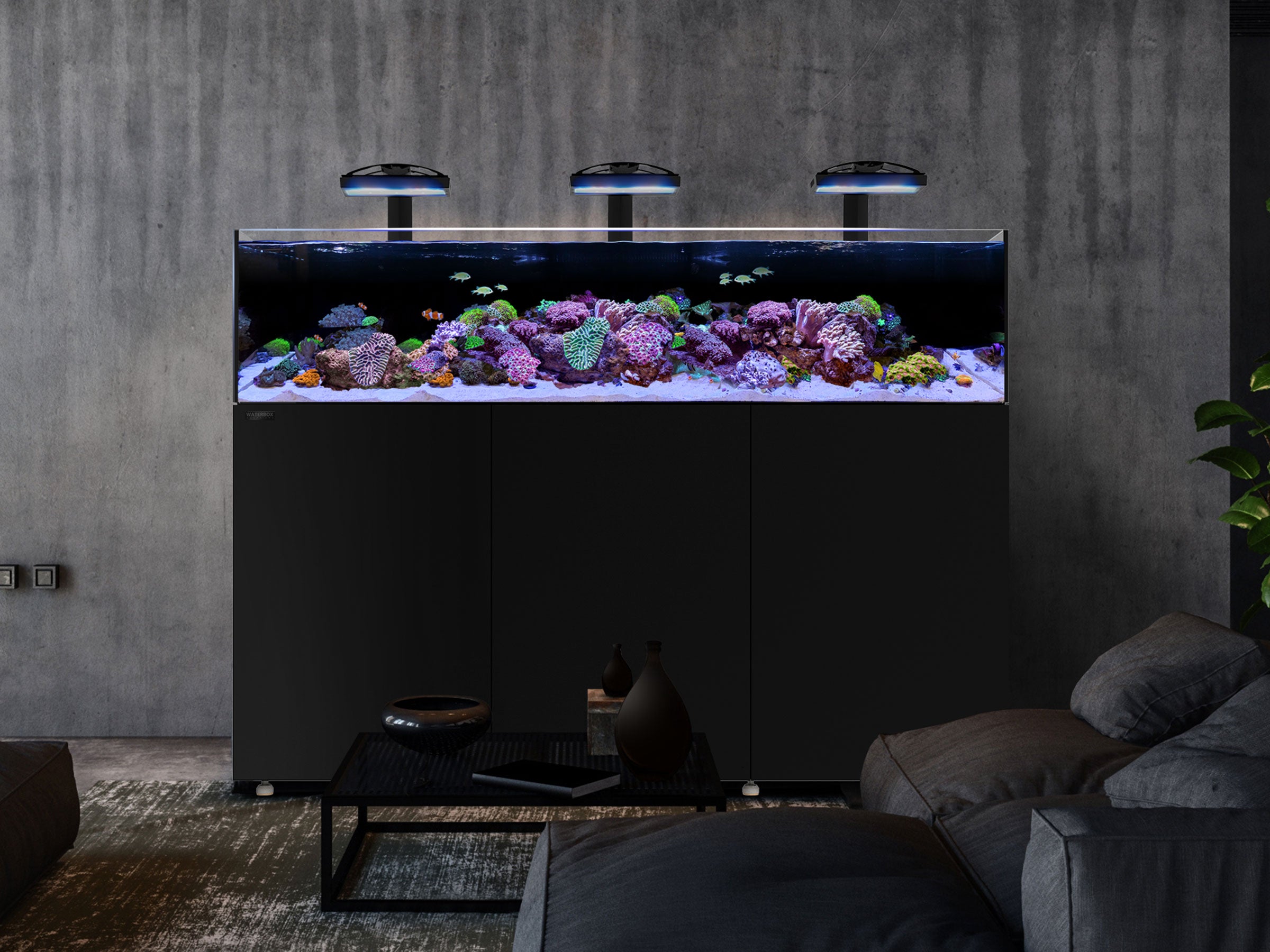 INFINIA Reef 230.6 – Waterbox Aquariums Canada