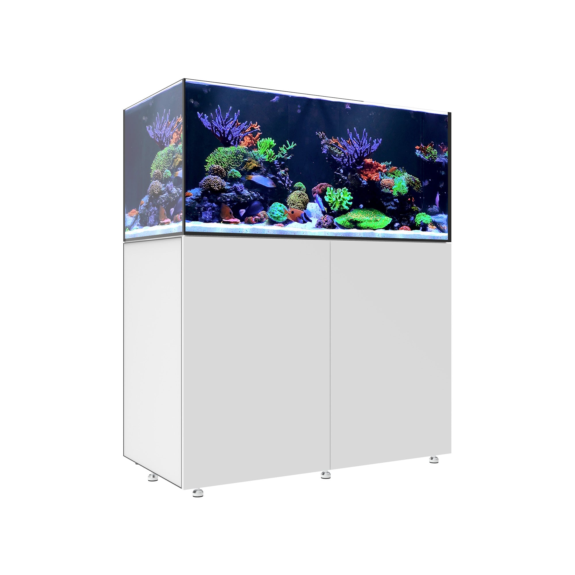 INFINIA Reef 150.4
