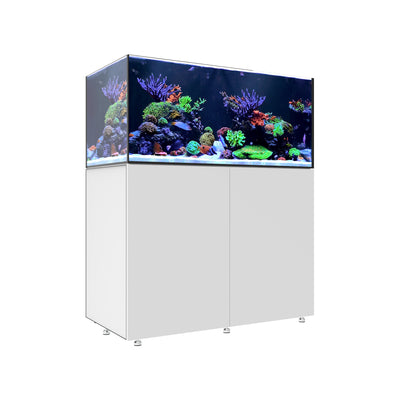 INFINIA Reef 150.4