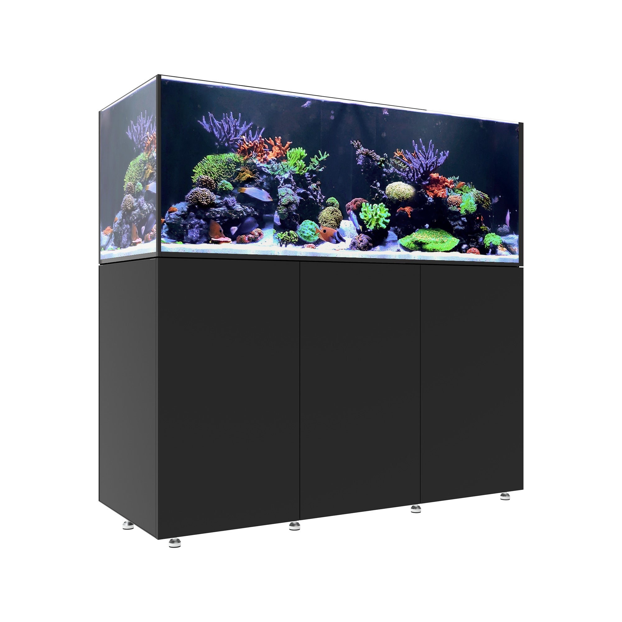 INFINIA Reef 190.5