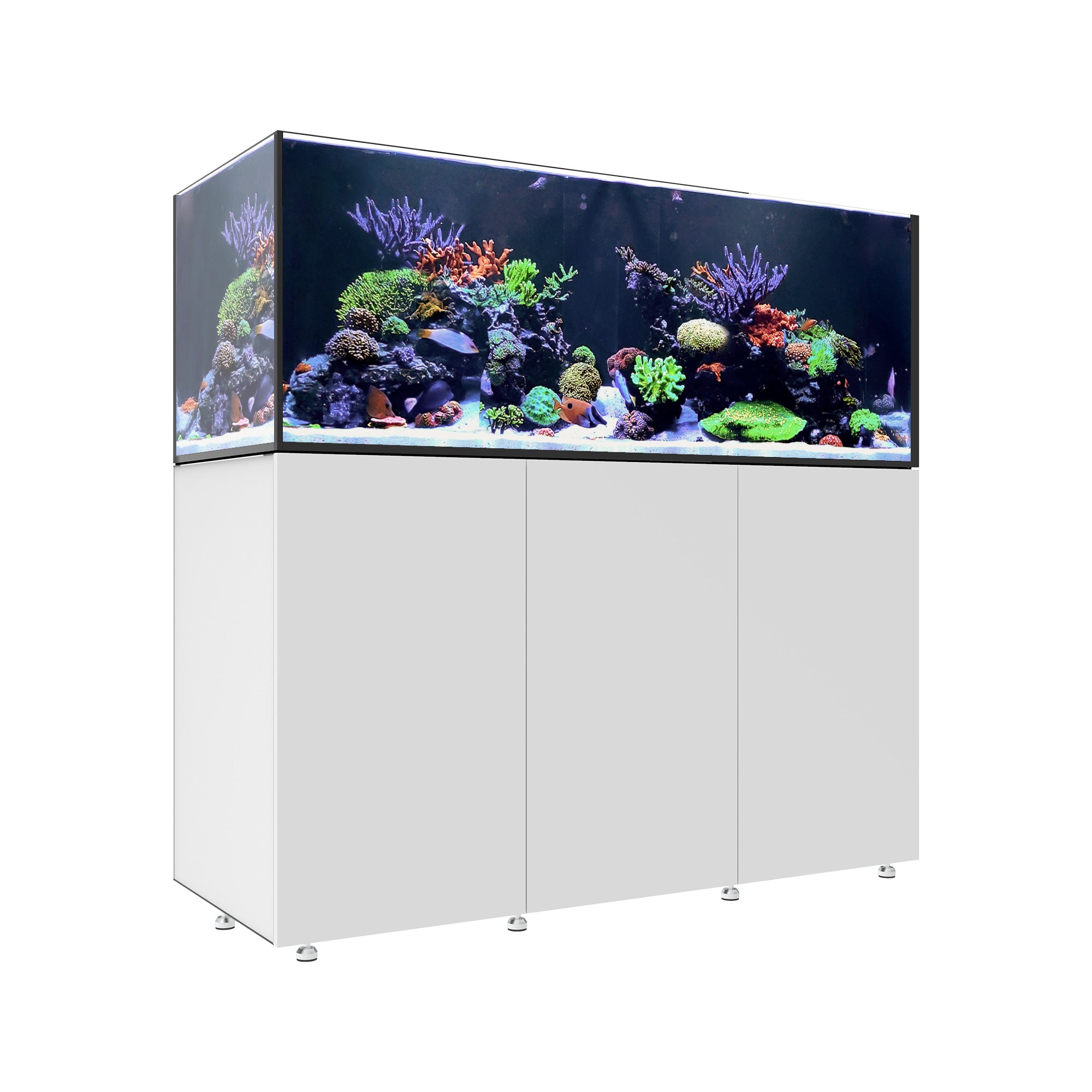 INFINIA Reef 190.5