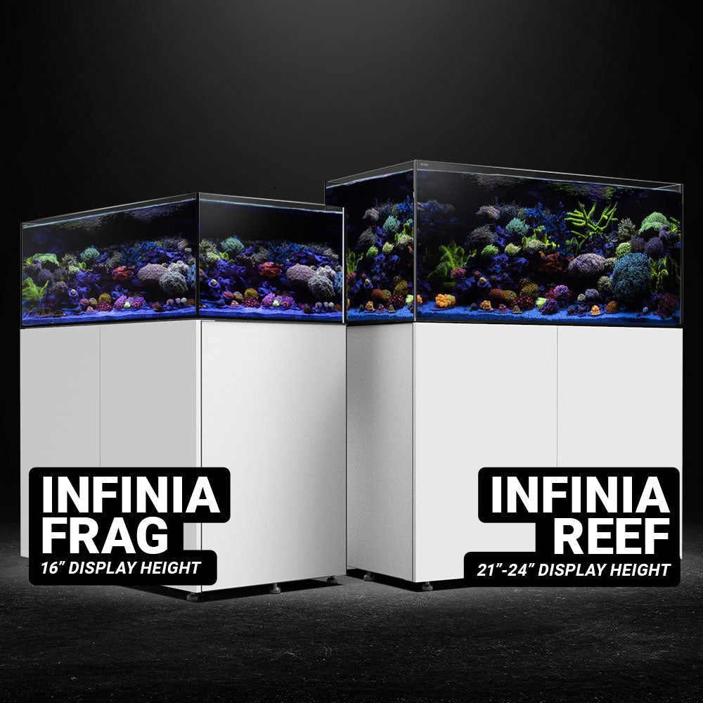 INFINIA Reef 190.5