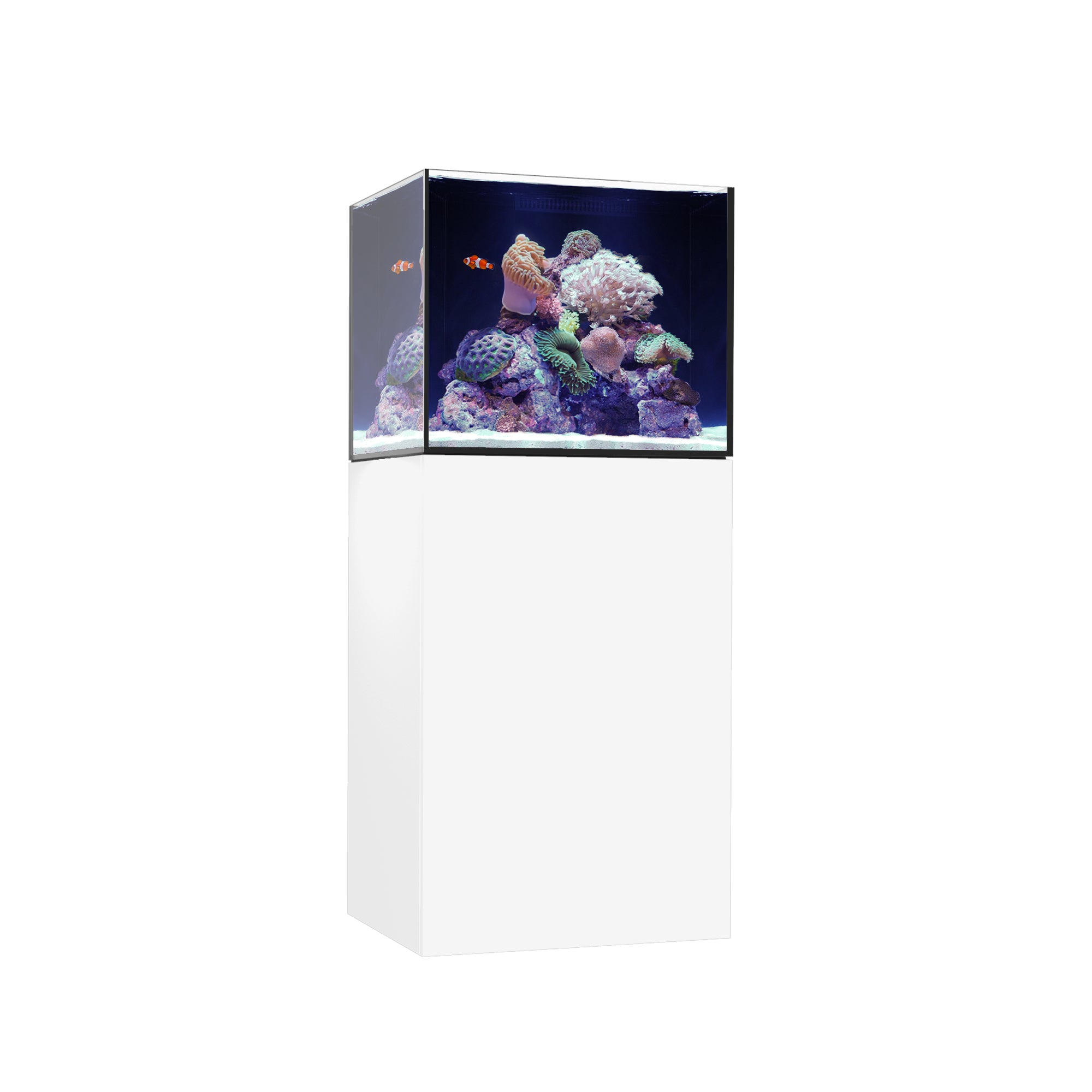 marine_I34様  お取り置き Marine X 110.4 - Waterbox - SaltwaterAquarium.com