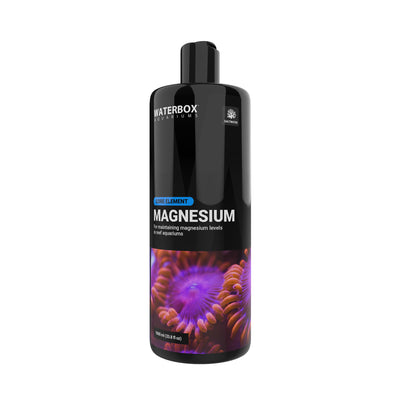 MAGNESIUM