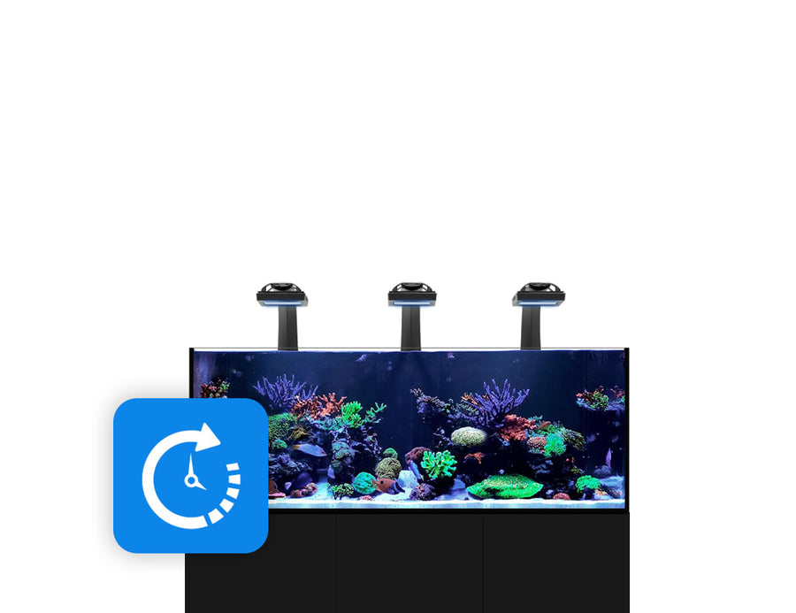 Waterbox Aquariums - Freshwater and Saltwater Aquarium Systems