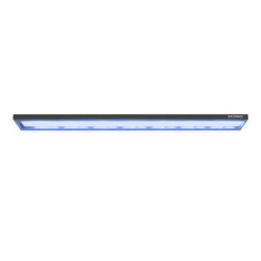 SLED - Saltwater LED Lighting System