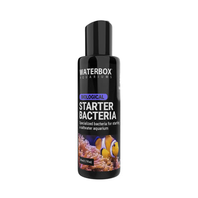 STARTER BACTERIA