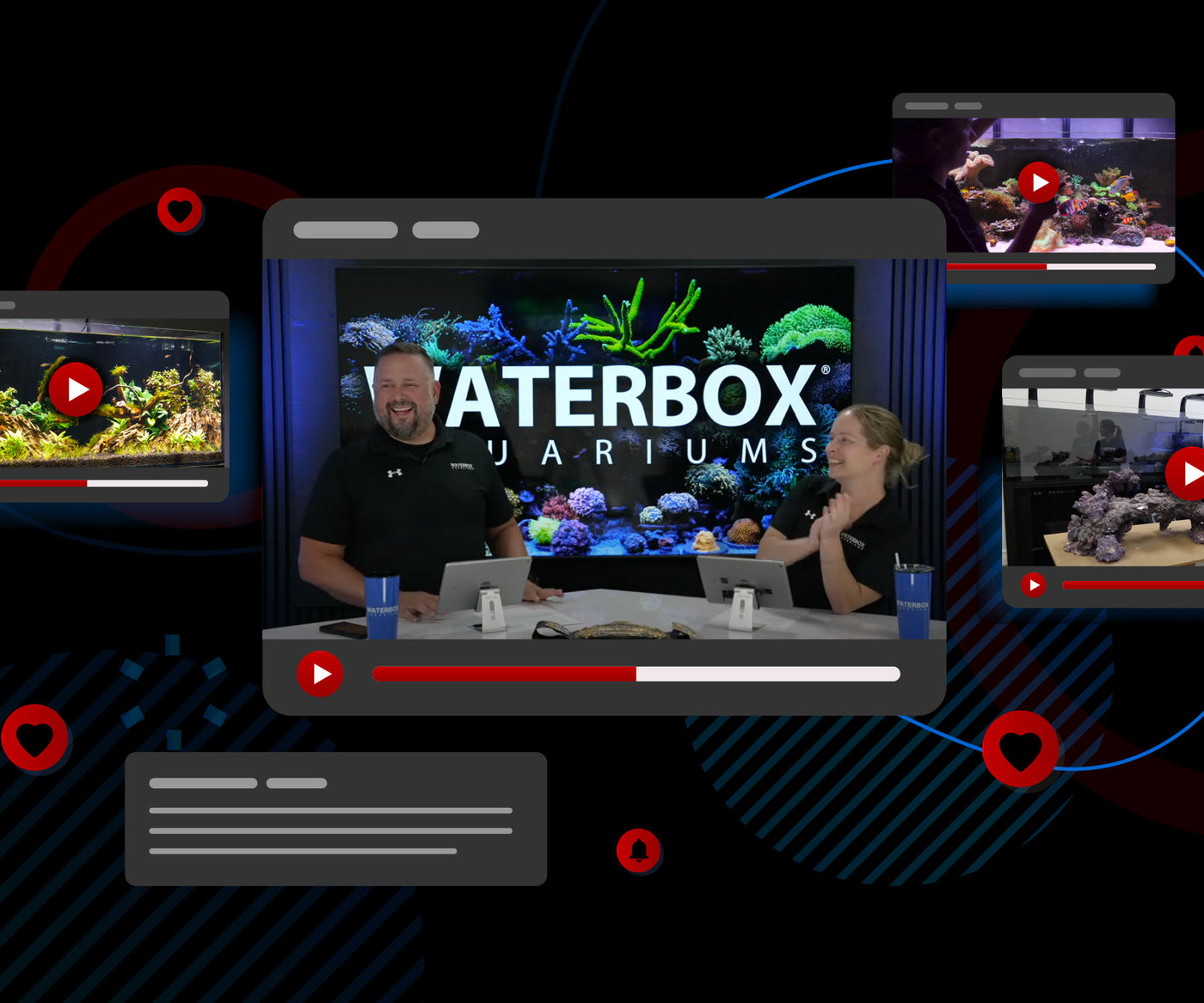 Waterbox Aquariums - Freshwater and Saltwater Aquarium Systems