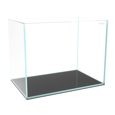 CLEAR MINI 6